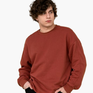 Sweatshirt Brown